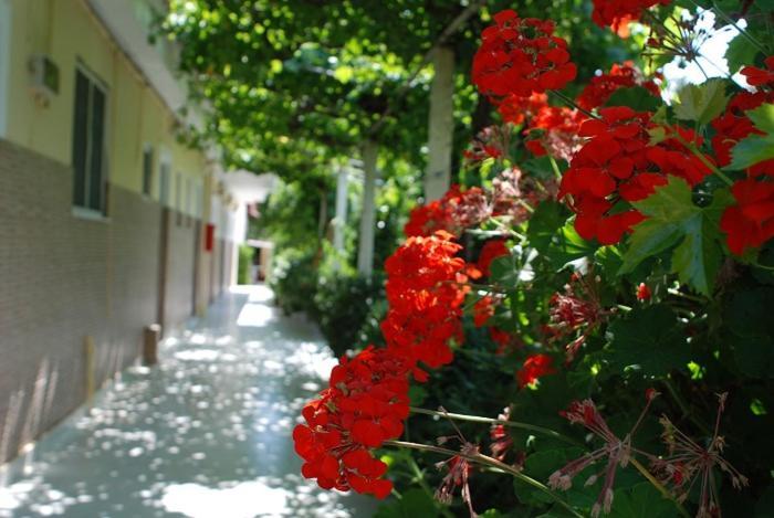 Manao Summer House Циливи Екстериор снимка